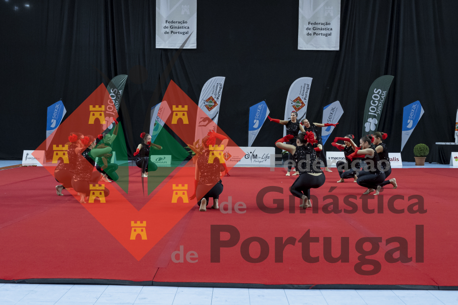 1053_Gym for Life Portugal